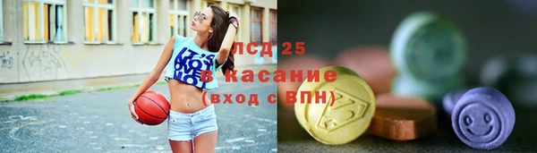 стаф Алексин