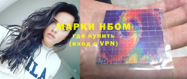 стаф Алексин