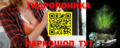 эйфоретик Новодвинск