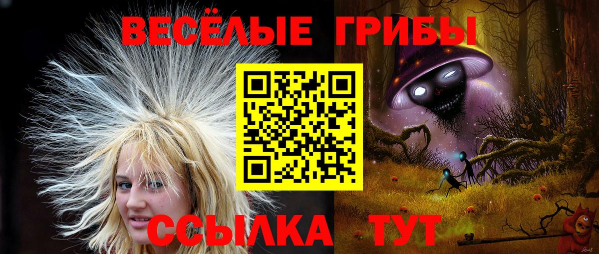 Псилоцибиновые грибы мухоморы  Вход с VPN  Арзамас 